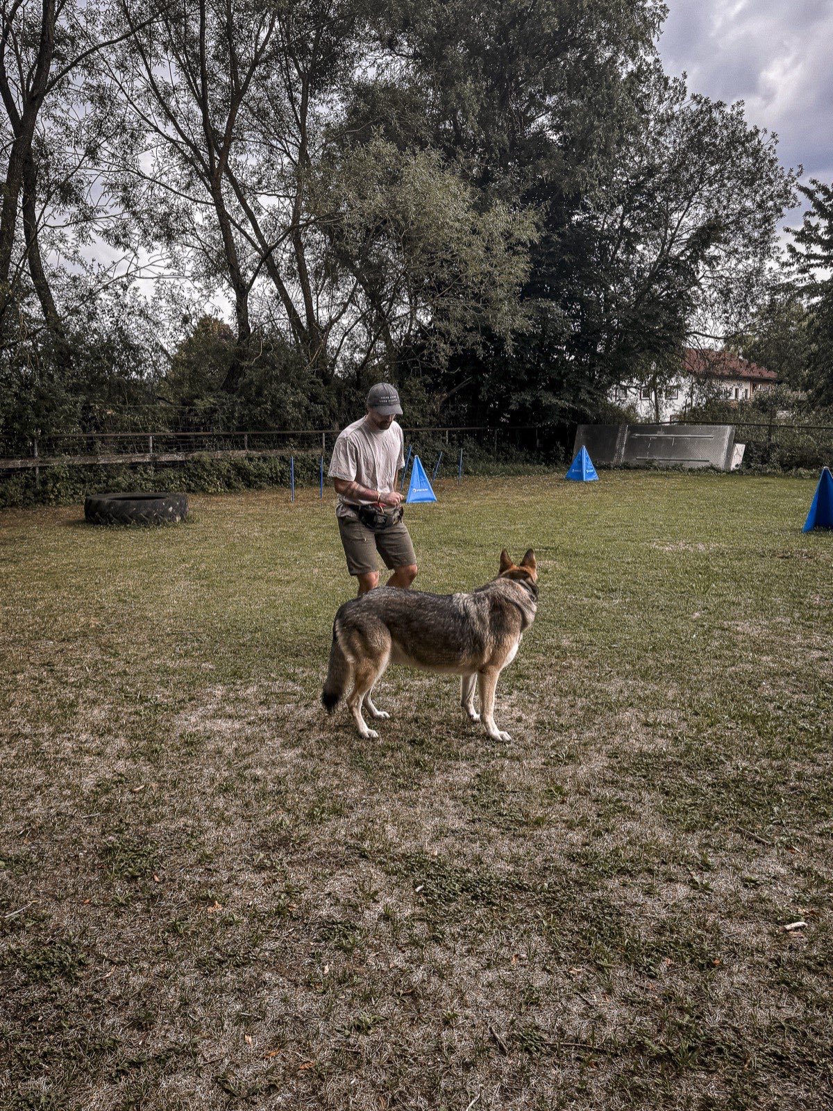 Michi und Milo auf einer weiträumigen Trainingswiese.