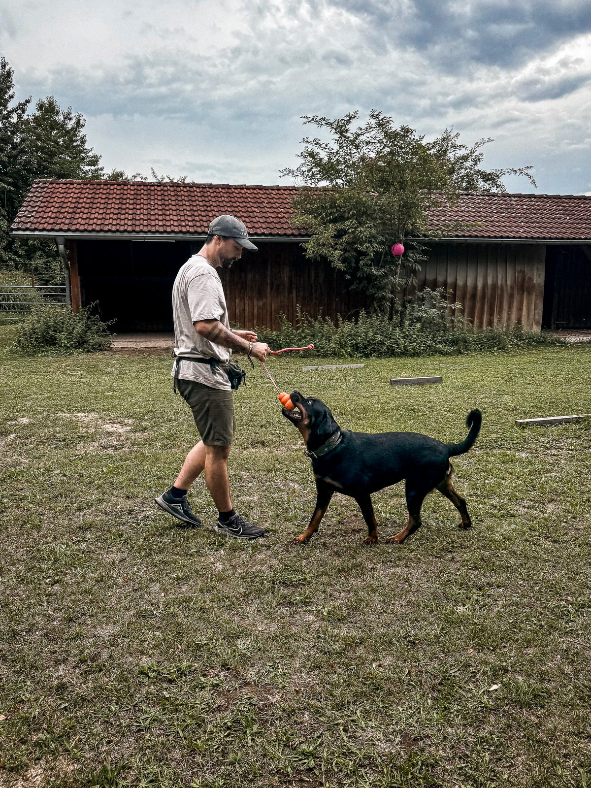 Michi spielt mit einem Hund im gemeinsamen Training.