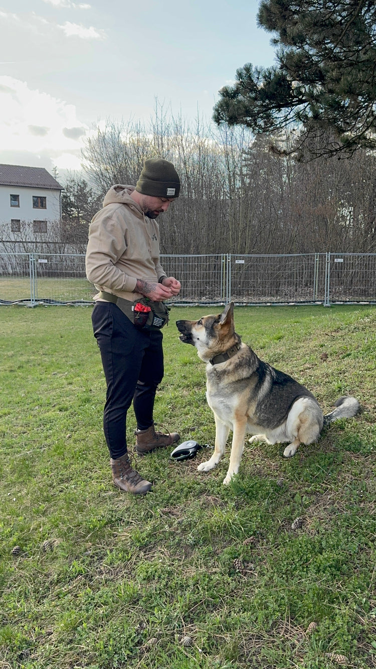 Michi und Milo arbeiten gemeinsam auf einer Trainingswiese.