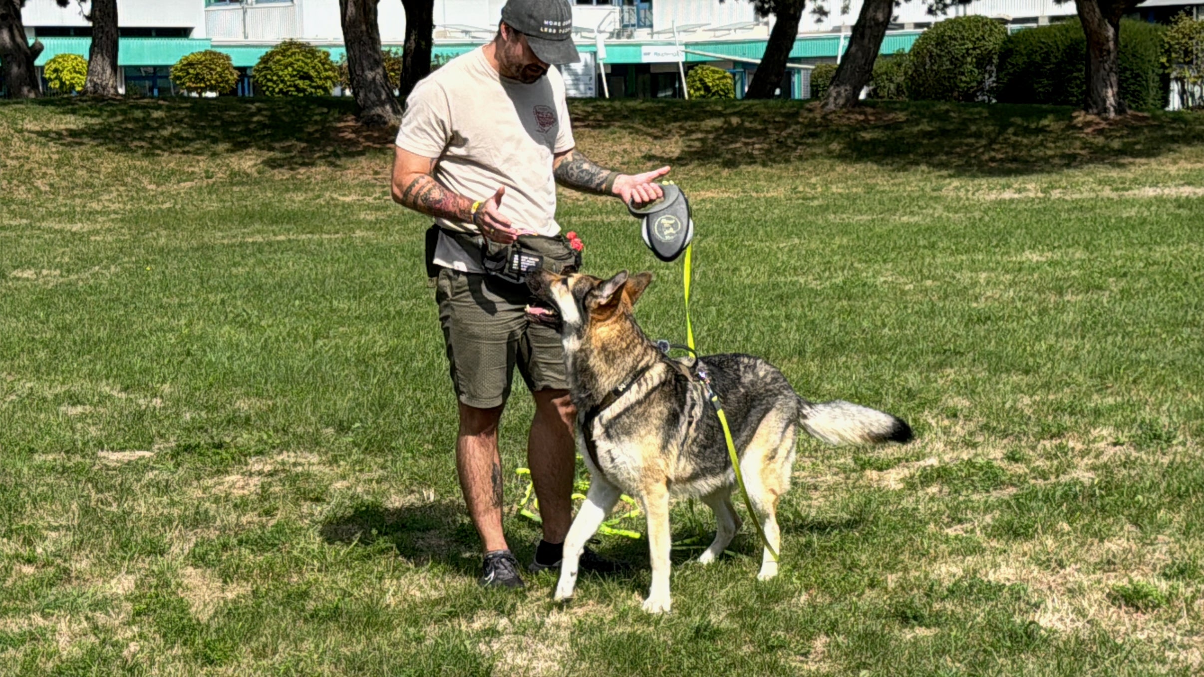 Michi und Milo auf einer Wiese. Milo steht dicht vor Michi und schaut zu seinen Händen.