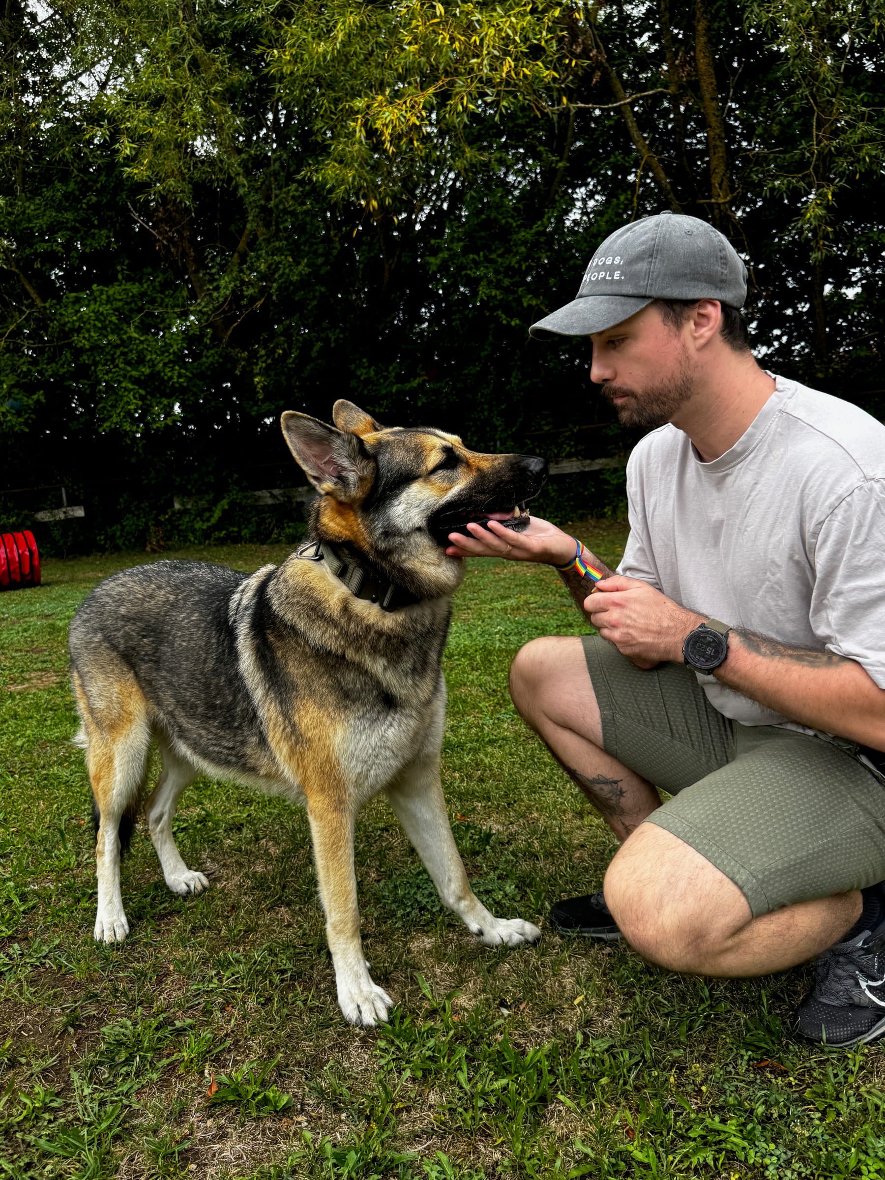 Ist mein Hund gestresst oder gerade einfach sehr aufgeregt?